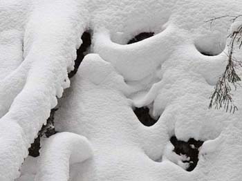 Lumem peittämät puunoksat.Lumessa pari tummempaa painaumaa.

Pentti Salosen ottama luontokuva.