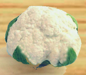 Kukkakaali