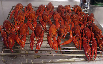 Ravujen keittäminen, valuta ravut