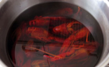 rapujen keittäminen