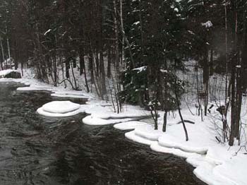 Tumma joki, luminen ranta ja tumma mets&auml;.. 

Pentti Salosen ottama luontokuva.
