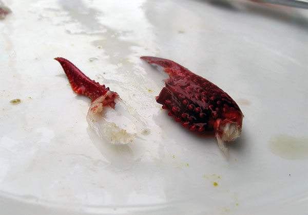 Ravun saksen syöminen