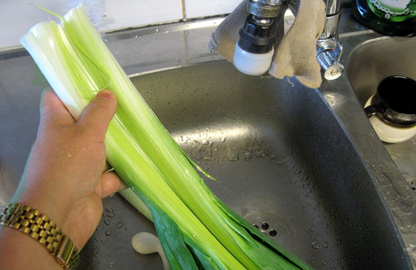 purjon esikäsittely